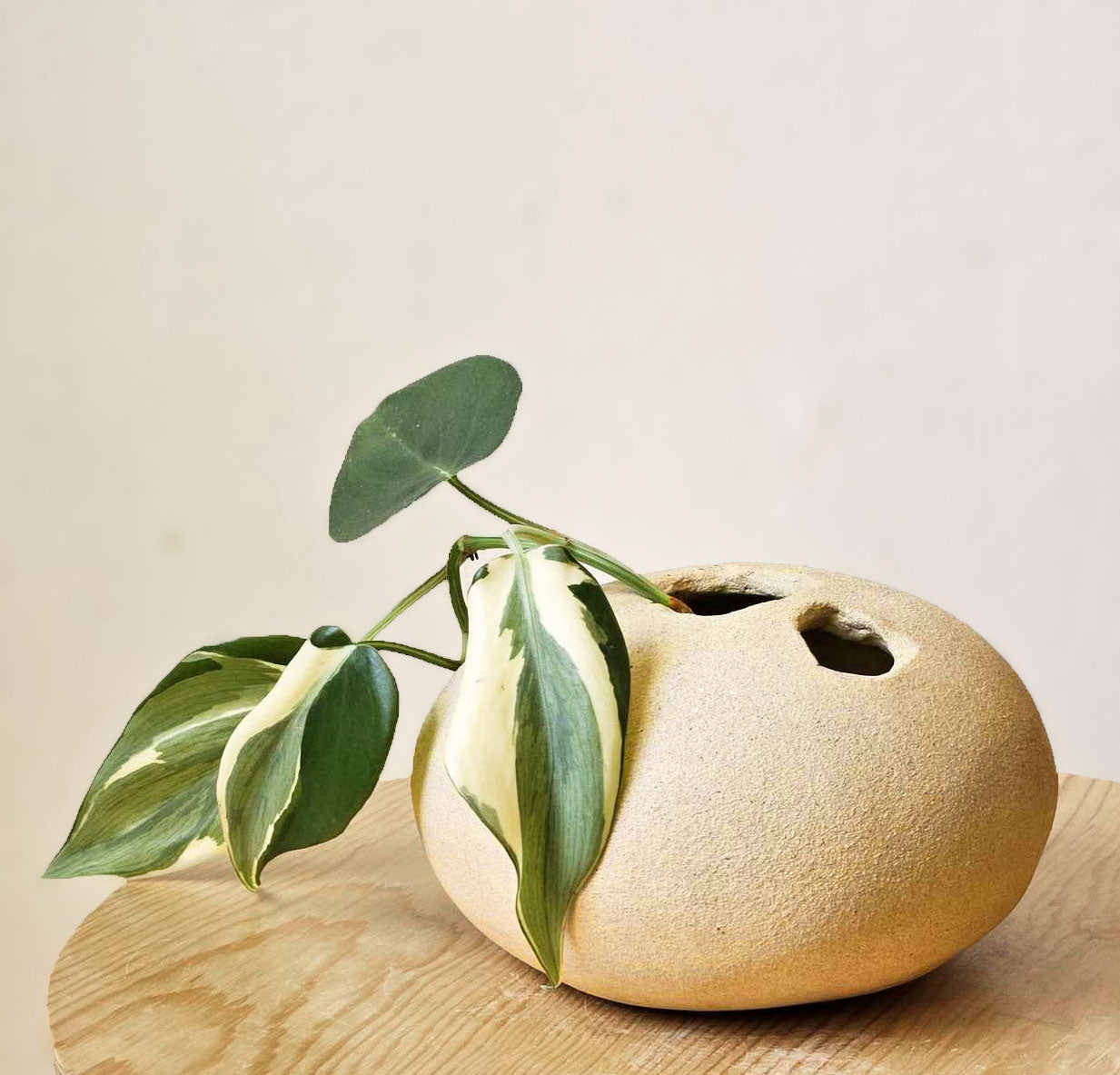 Round Orb Vase with built-in Flower Frog